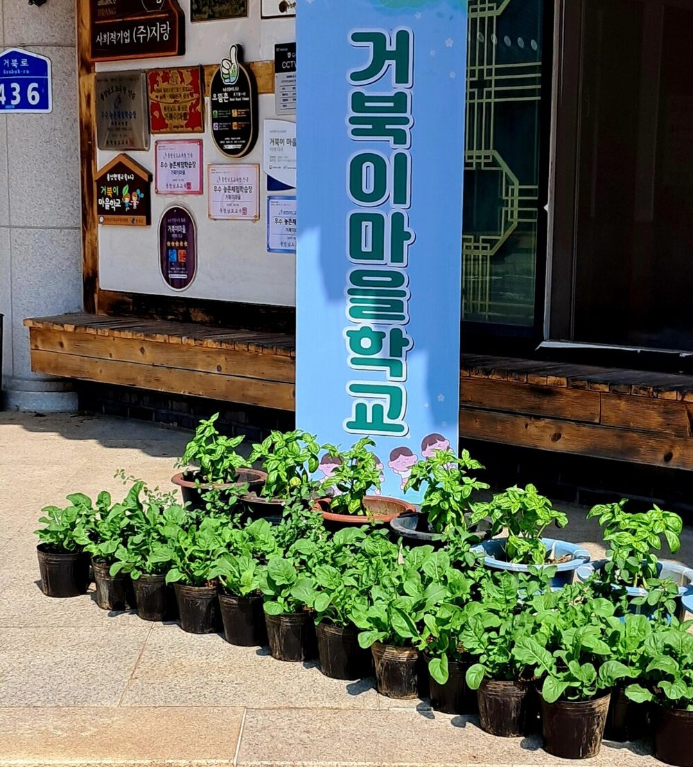 거북로 436 주소판과 거북이마을학교 입간판