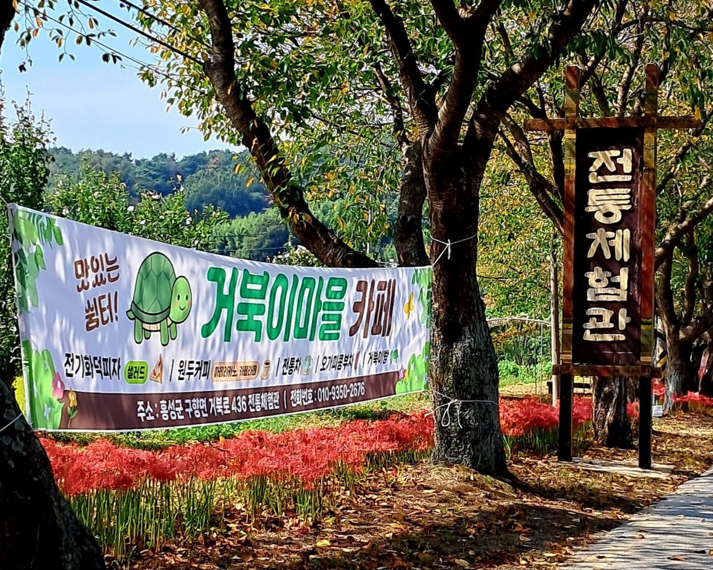 꽃무릇이 핀 길가에 걸린 거북이마을 카페 현수막과 전통체험관 표지판